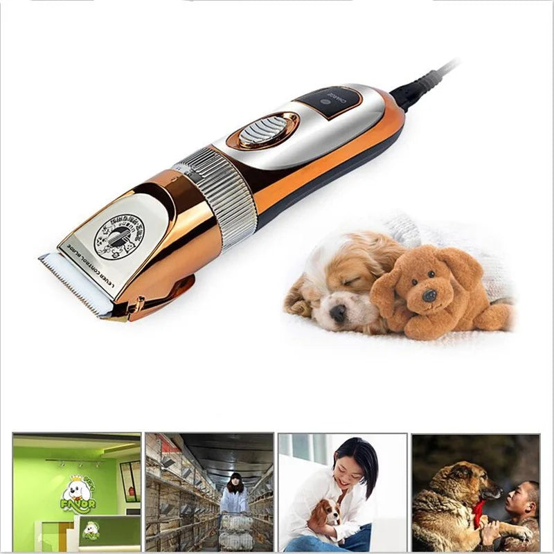 HTB1m1IZrcUrBKNjSZPxq6x00pXaJ