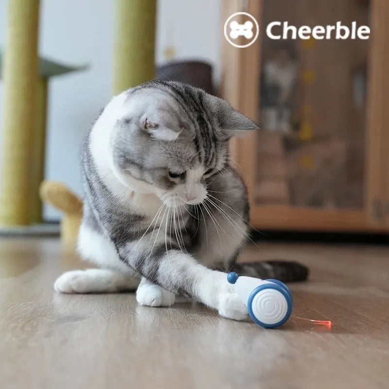 S015d0978853245e59d0798bf61811ca4C