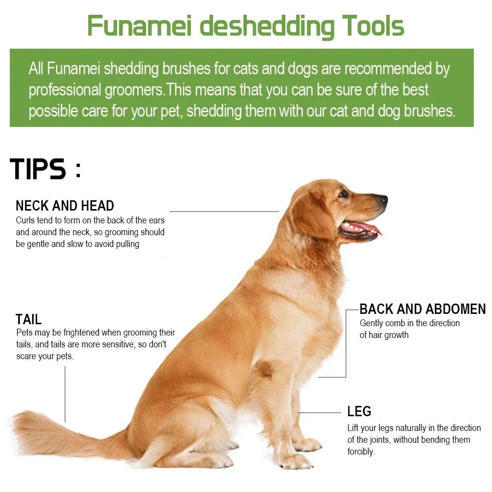 S03bc75b43fb74d17853fdef7c3fa85958