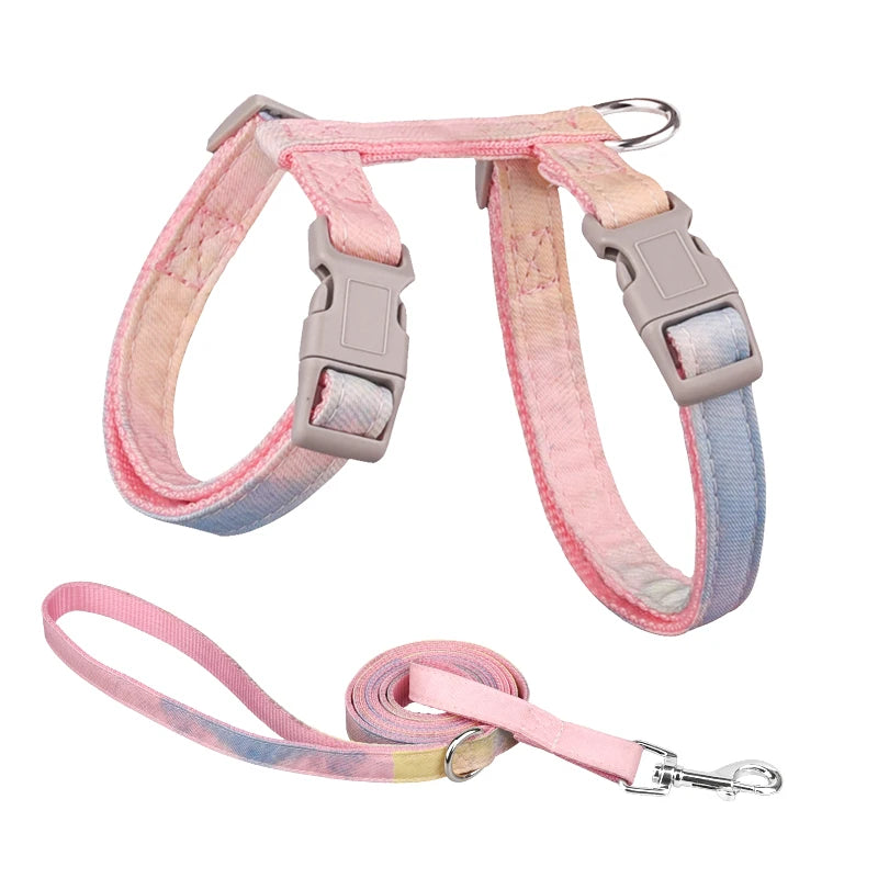 S194cc62c82f94f409a8e9b66c2c11b31r