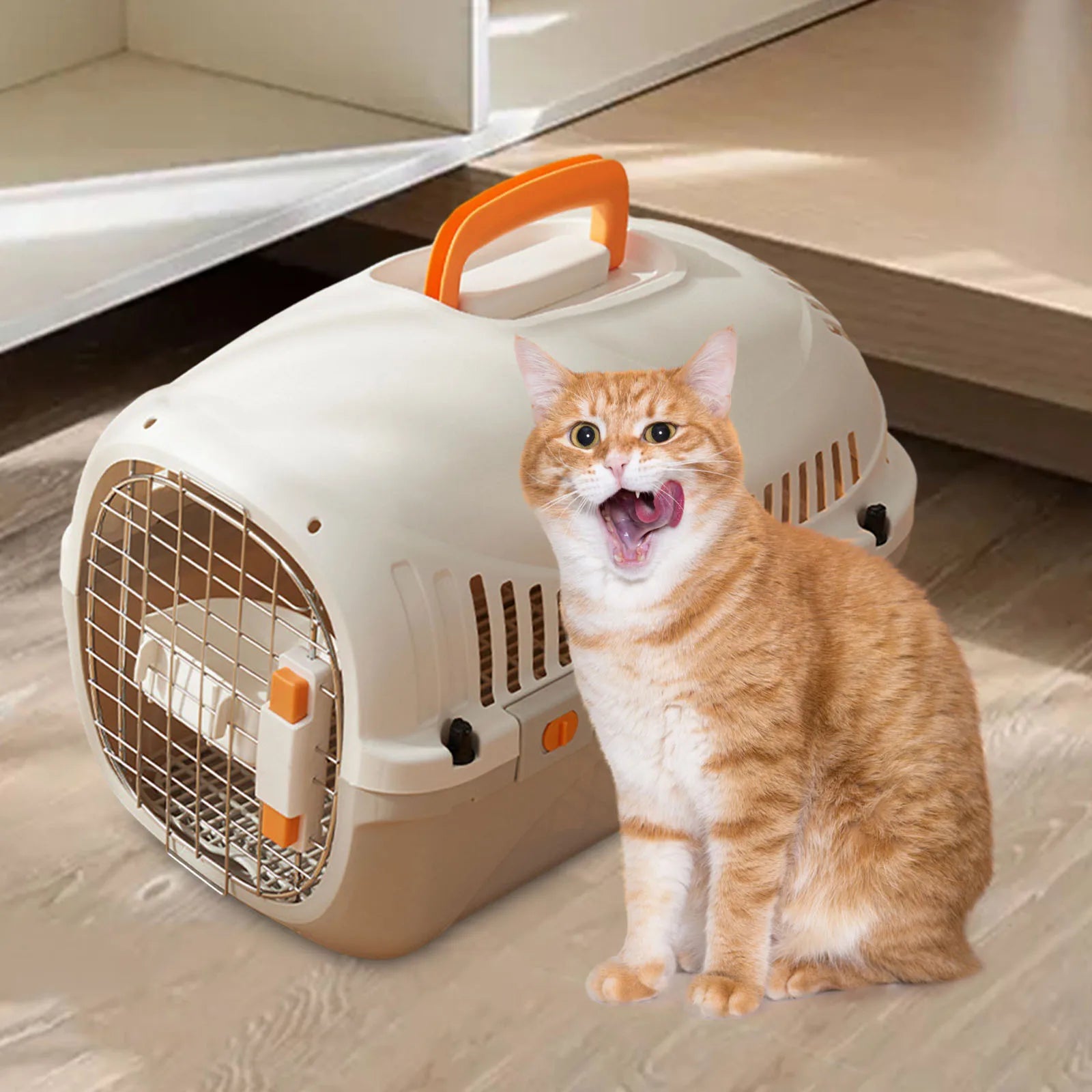 S3562acc06a904a26a5ba350fa13225fe1