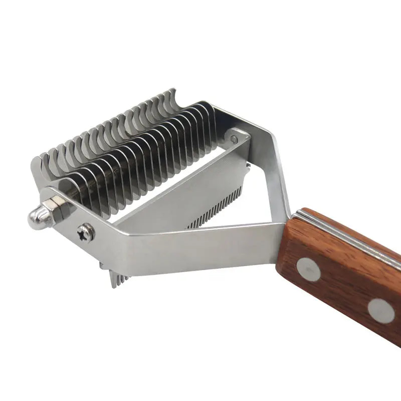 S3636e4dc96c146d49c2e77d9cbfb80ceg