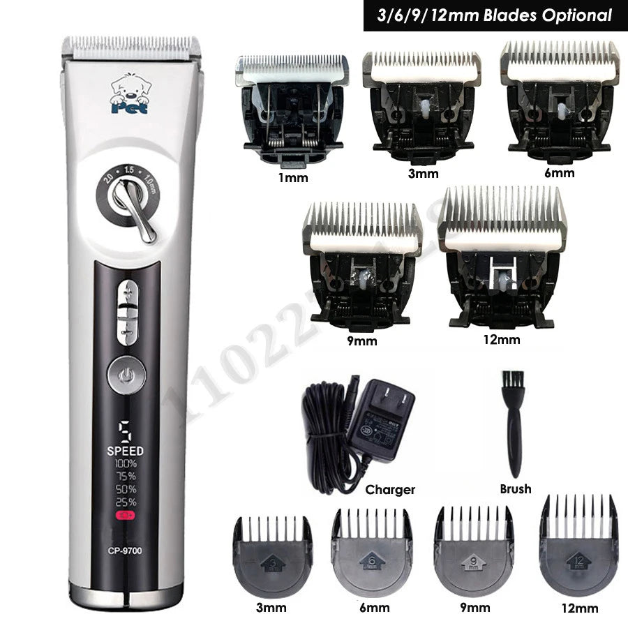 S405a1c5a5c8b48df9e3c85da9c55dd745