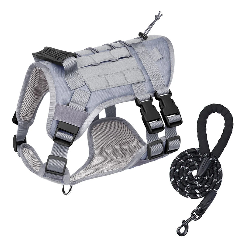 S4d20dac5f89f4fc481ea5cfcd1954ceel