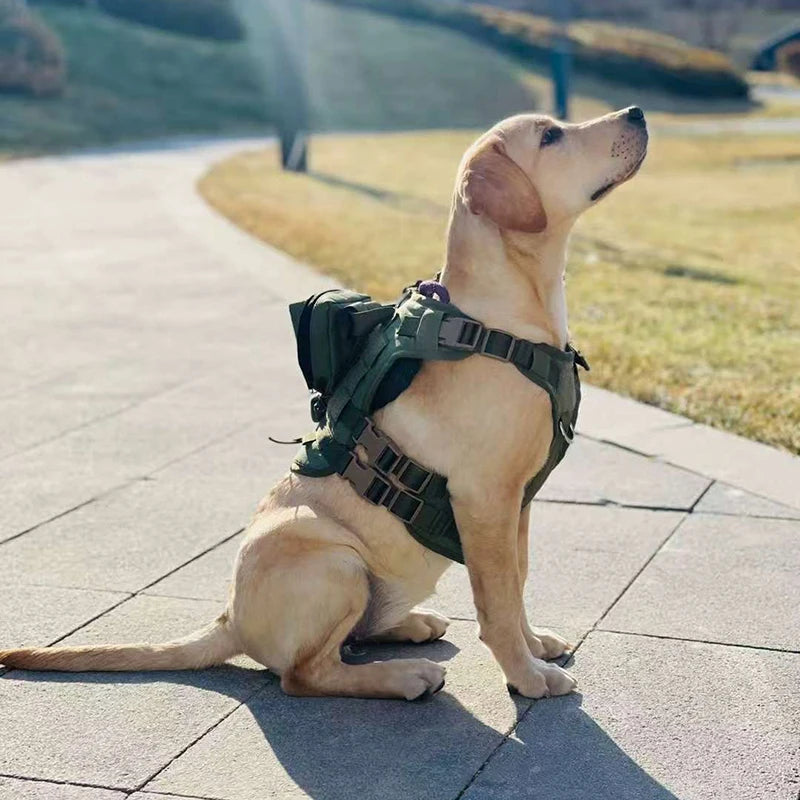 S534b5b6b840f47c9a7d03a7af196c5d4a