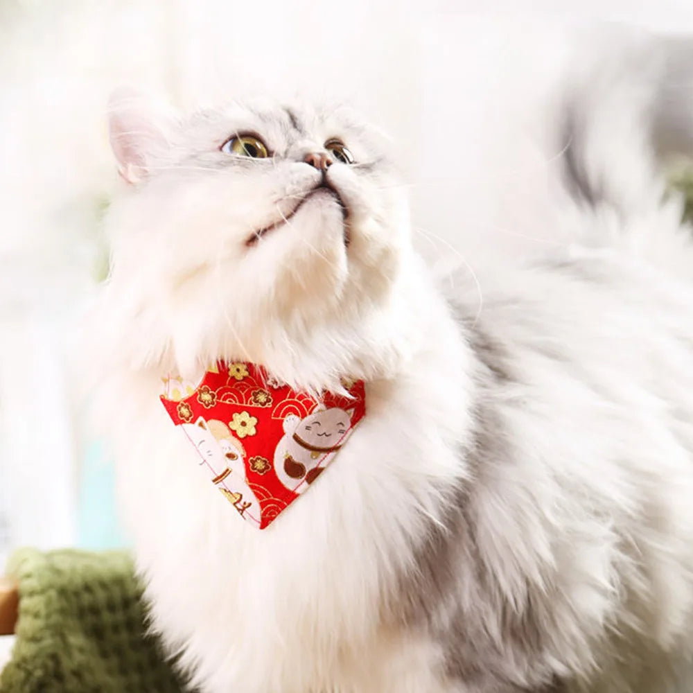 S5ba859926a064b689a6c02b612996f5ak