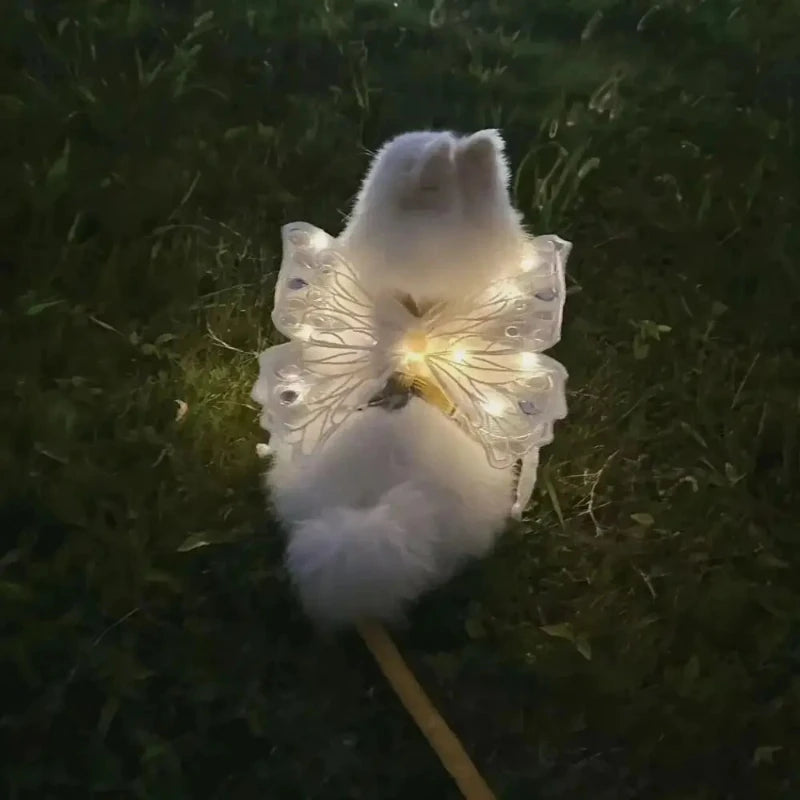 S5c114af351e649e19ee8fa6f33373e06V