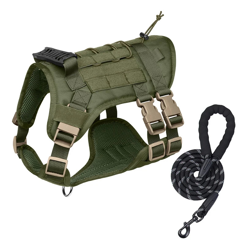 Sa20b24e0d3604d79ab737b89087755d7G