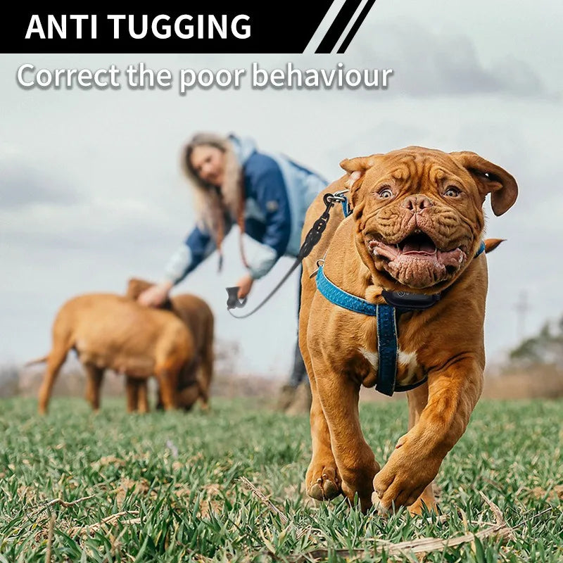 Sa5b20d10e6424f6e8bfcf1864450fab94