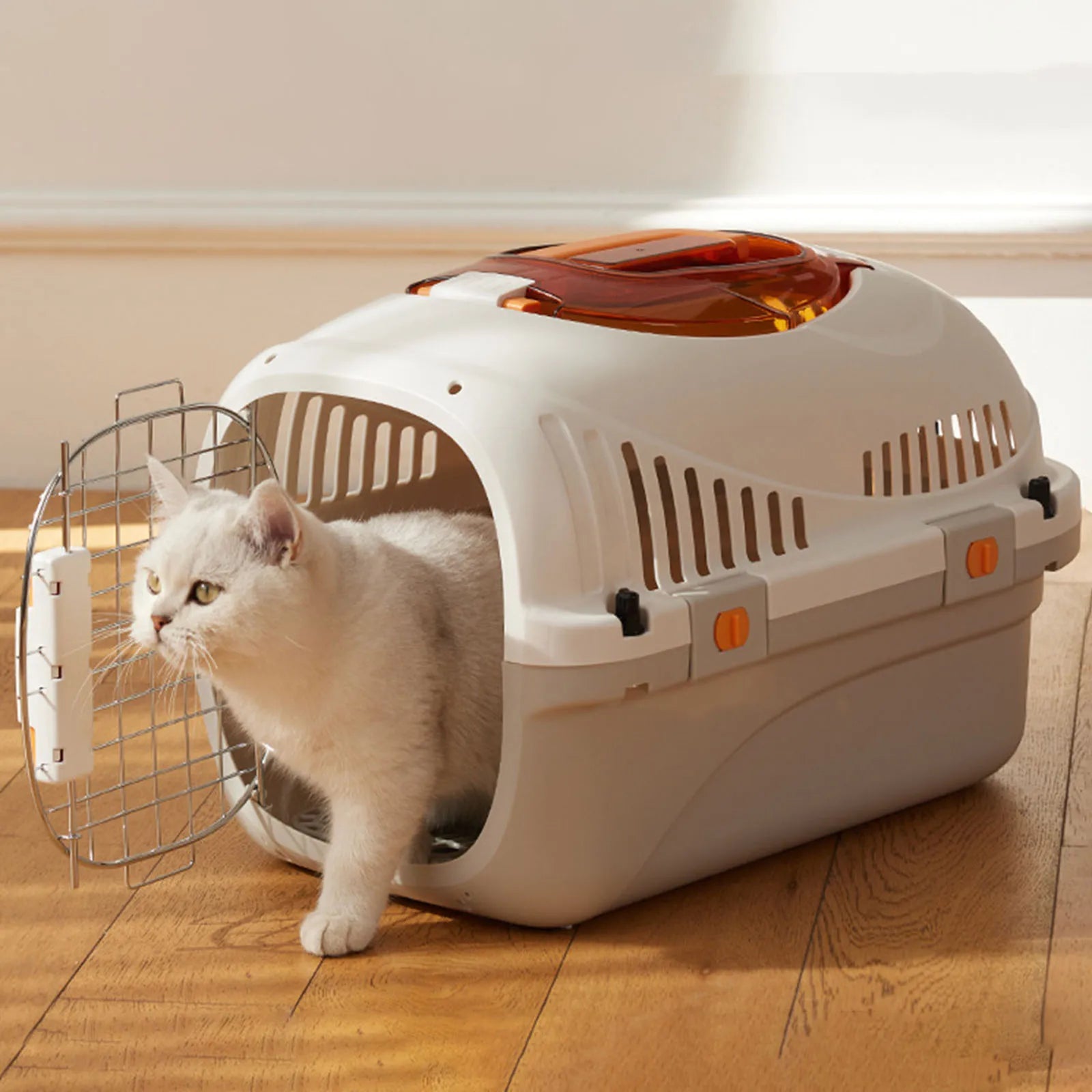 Sabb7902ece2240f5852840491a5b174aq