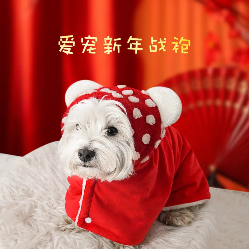 Sdf053119d508443490ddfc7ae83a9ddcg