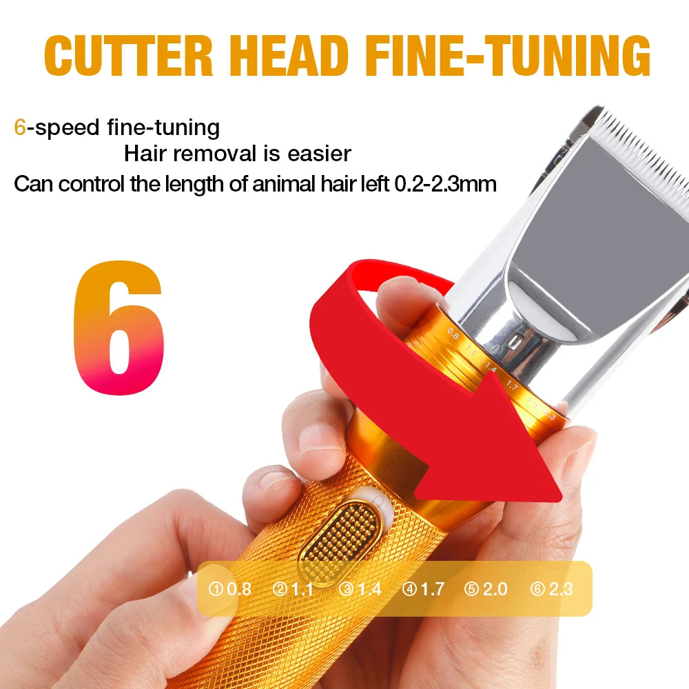 Se8f3e23539c34f3895142ea6fcb20464O