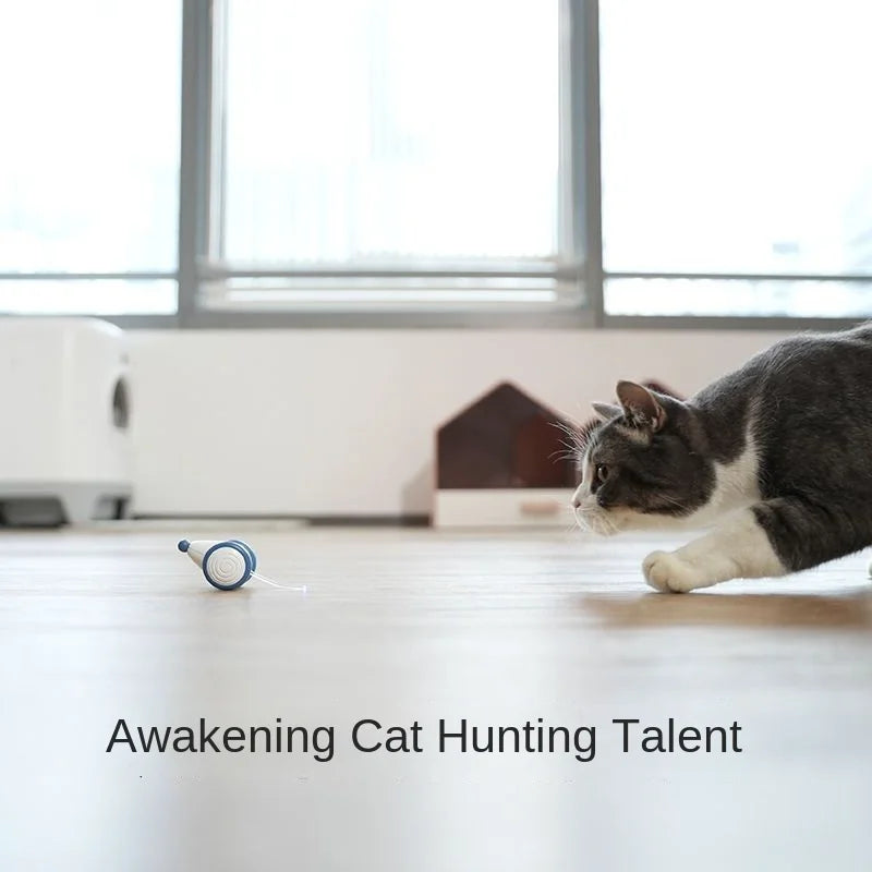 Sf2d627c89e0e4ce188acdb4f8085c5d5e